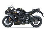 Kawasaki Ninja H2 SX