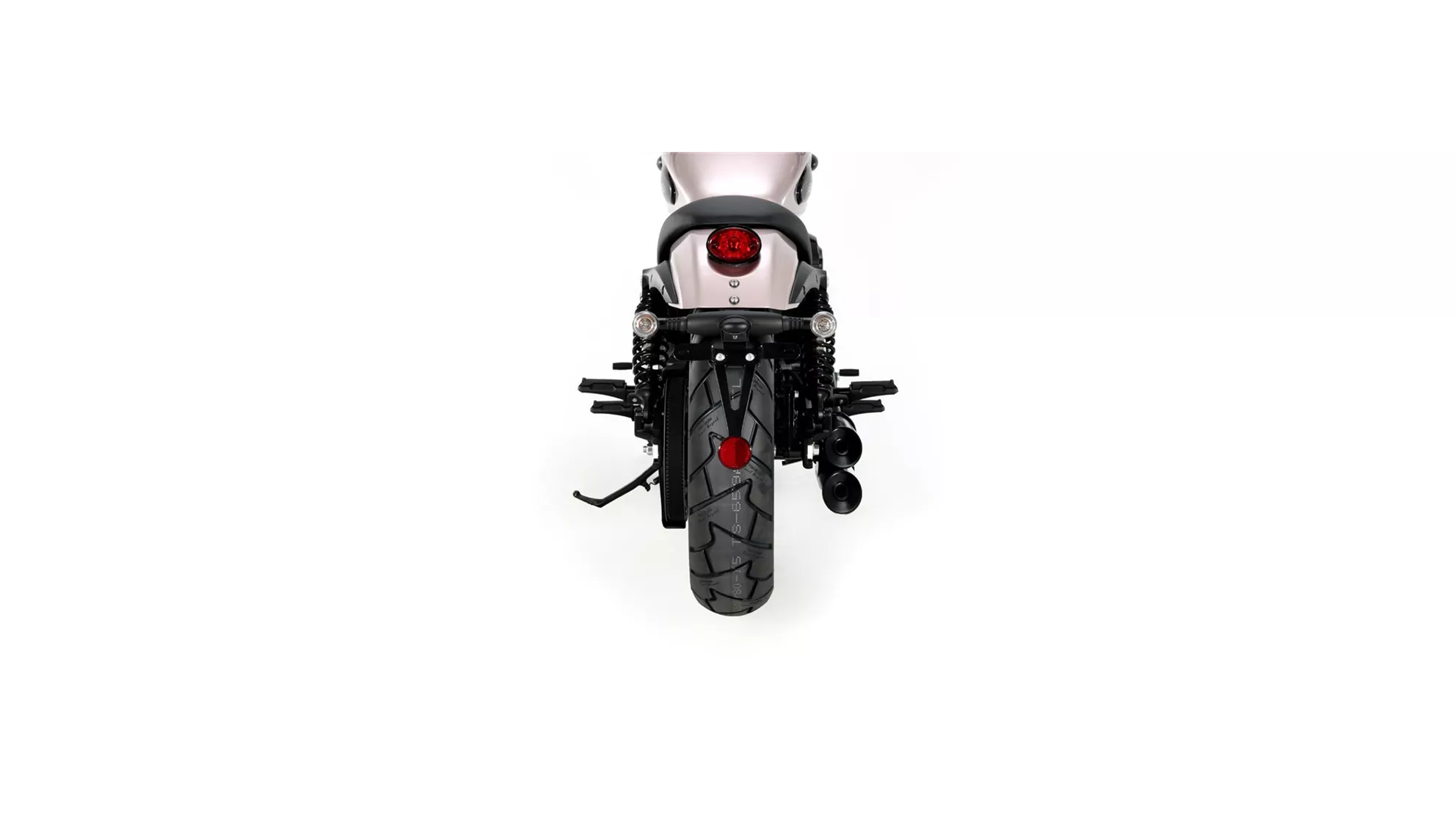 Benda Chinchilla 300 - Resim 4 Benda Chinchilla 300 - Resim 4