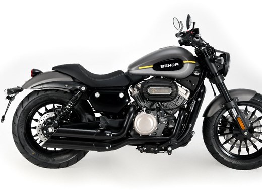 Benda Chinchilla 300