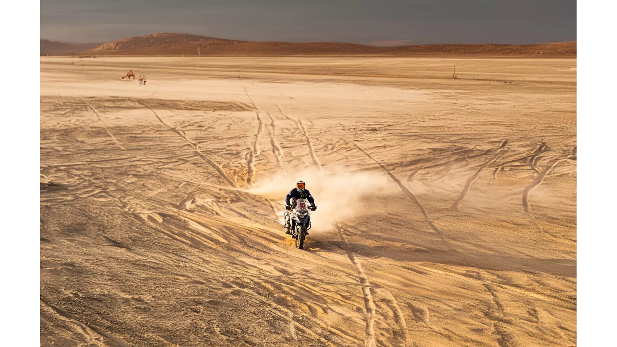 QJ Motor SVT 650 X - Image 3 QJ Motor SVT 650 X - Image 3