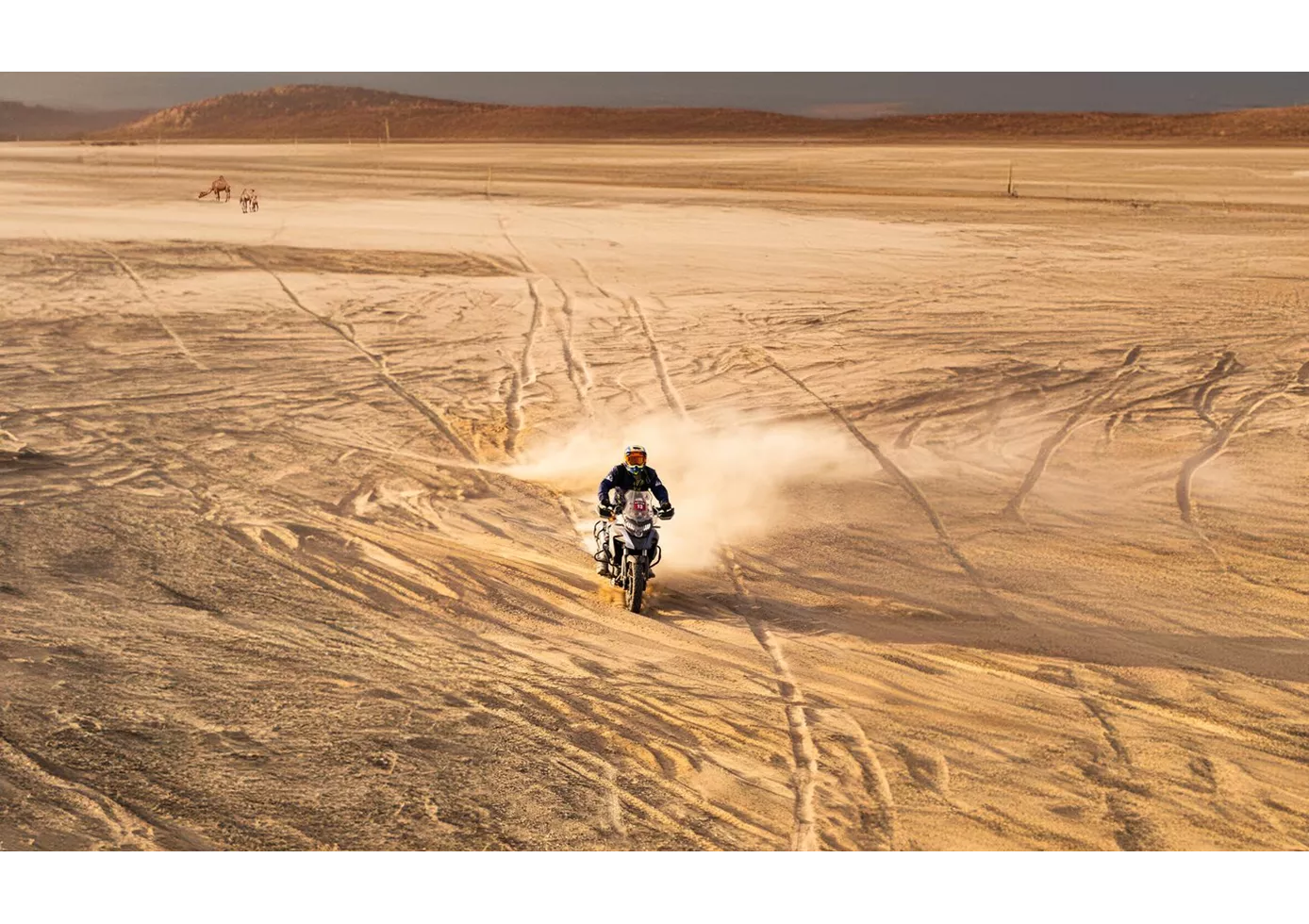 QJ Motor SVT 650 X 2026 QJ Motor SVT 650 X 2026