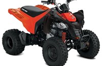 Can-Am DS 250 2026 - Bild 1