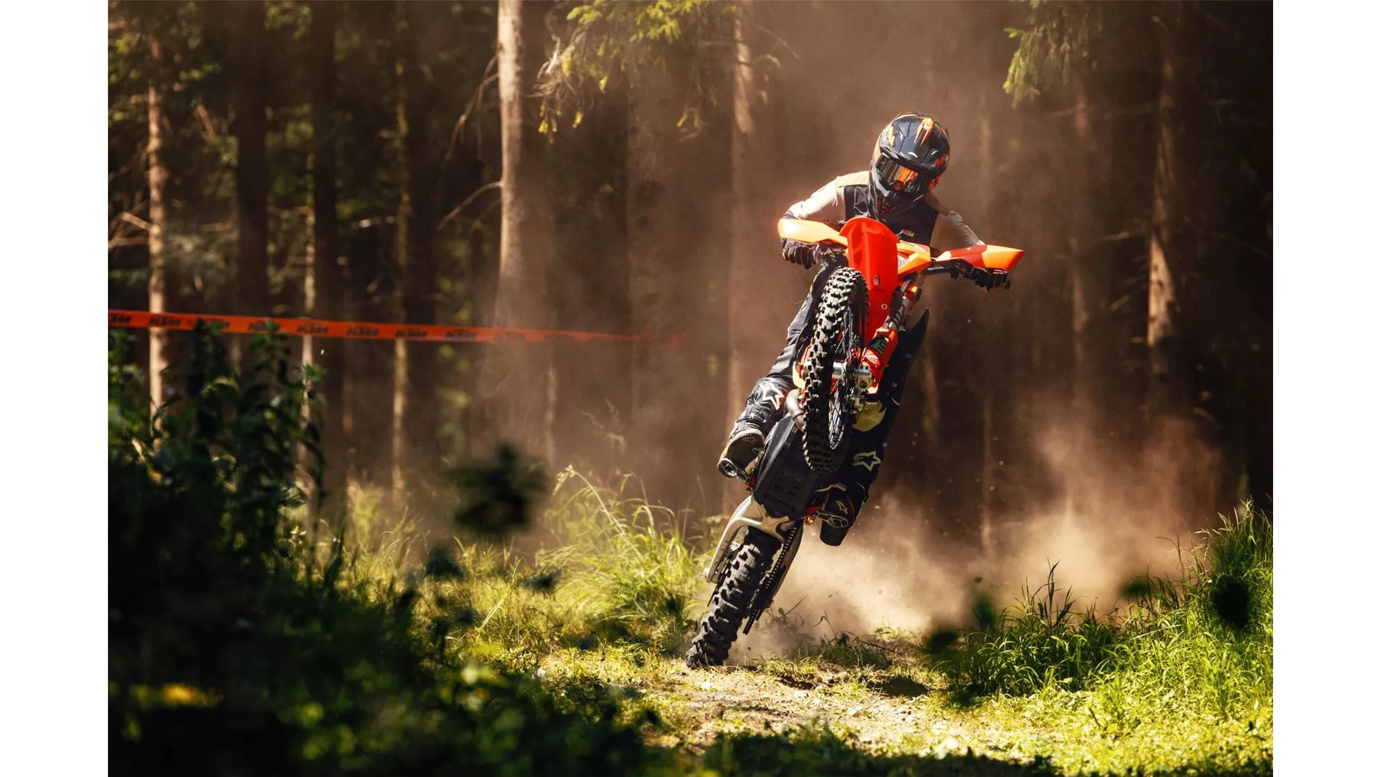 KTM 450 EXC-F SIX DAYS - afbeelding 6 KTM 450 EXC-F SIX DAYS - afbeelding 6