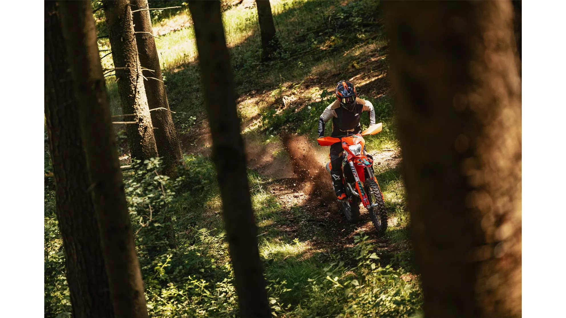 KTM 450 EXC-F SIX DAYS - afbeelding 3 KTM 450 EXC-F SIX DAYS - afbeelding 3