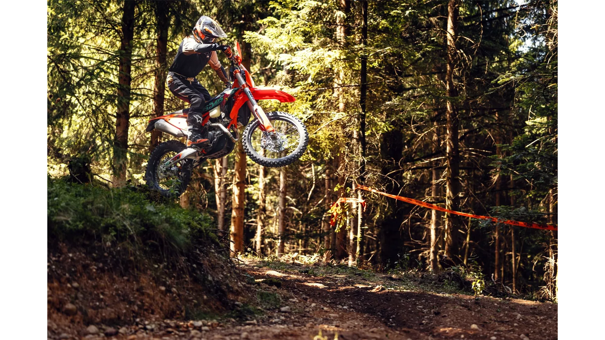 KTM 450 EXC-F SIX DAYS - afbeelding 2 KTM 450 EXC-F SIX DAYS - afbeelding 2