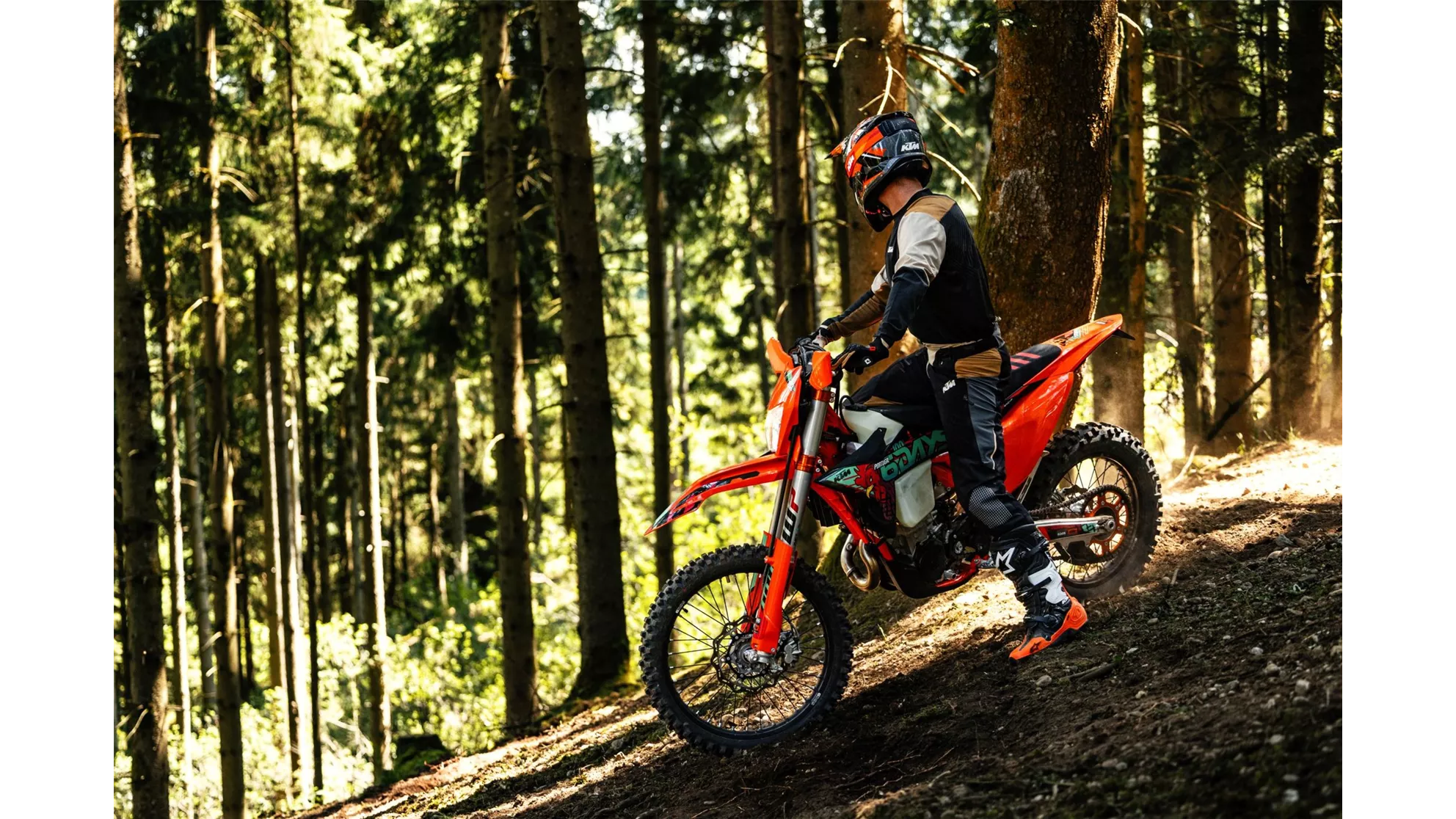 KTM 450 EXC-F SIX DAYS - afbeelding 8 KTM 450 EXC-F SIX DAYS - afbeelding 8