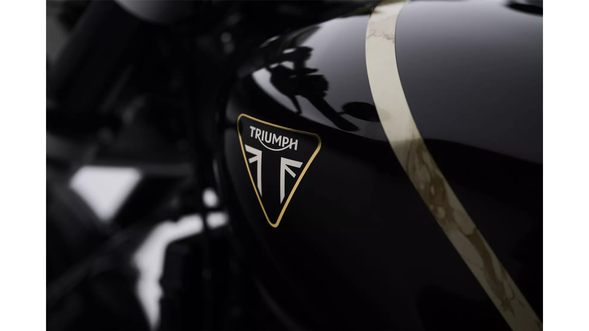 Triumph Speed Twin 1200 TFC - Immagine 2 Triumph Speed Twin 1200 TFC - Immagine 2