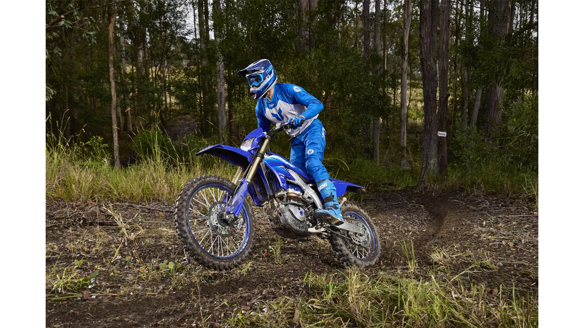Yamaha WR450F - Immagine 2 Yamaha WR450F - Immagine 2