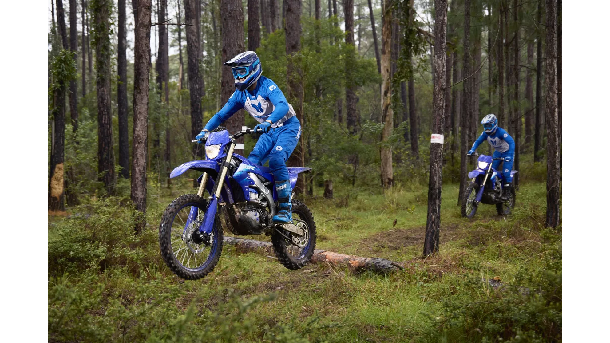 Yamaha WR450F - Immagine 5 Yamaha WR450F - Immagine 5