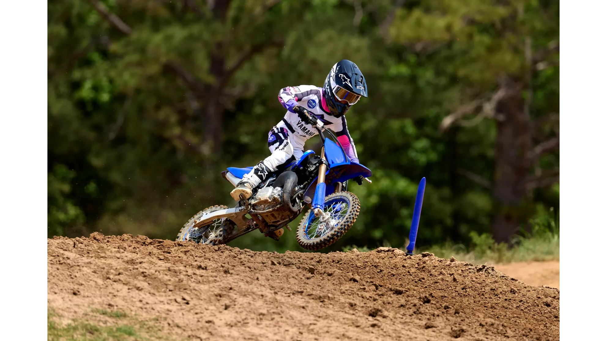 Yamaha YZ65 - Immagine 1 Yamaha YZ65 - Immagine 1