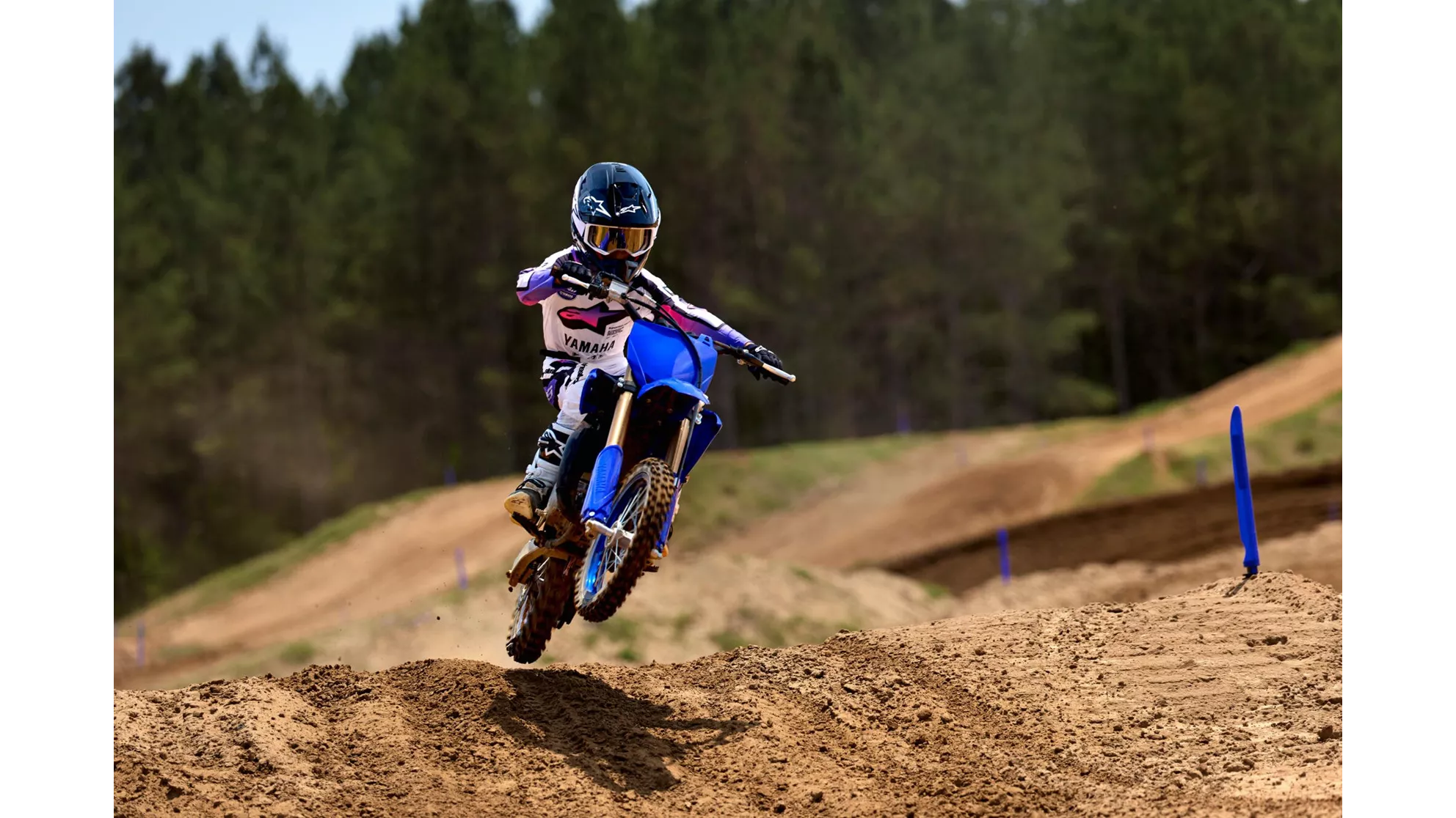 Yamaha YZ65 - Immagine 4 Yamaha YZ65 - Immagine 4