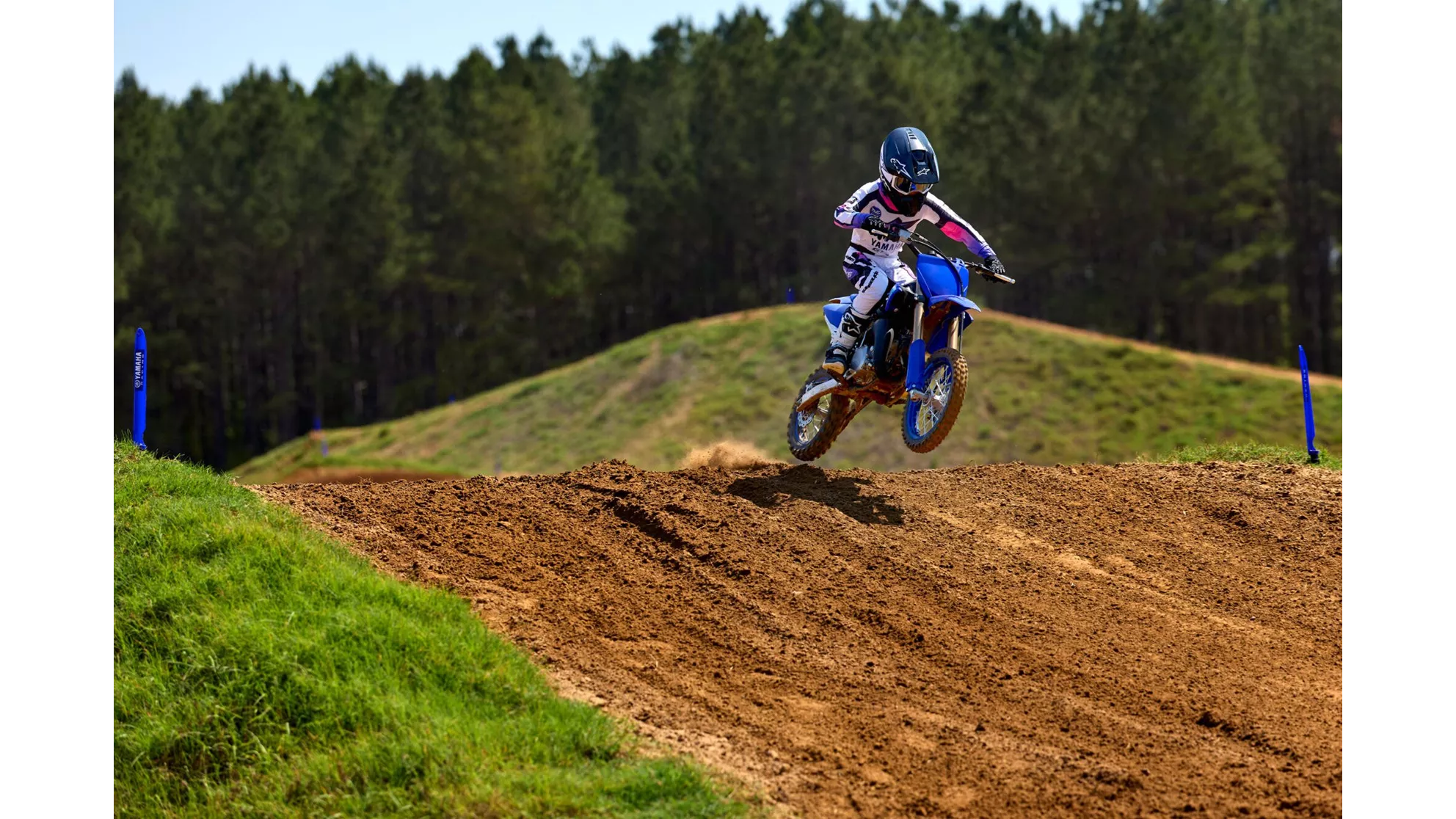 Yamaha YZ65 - Immagine 6 Yamaha YZ65 - Immagine 6