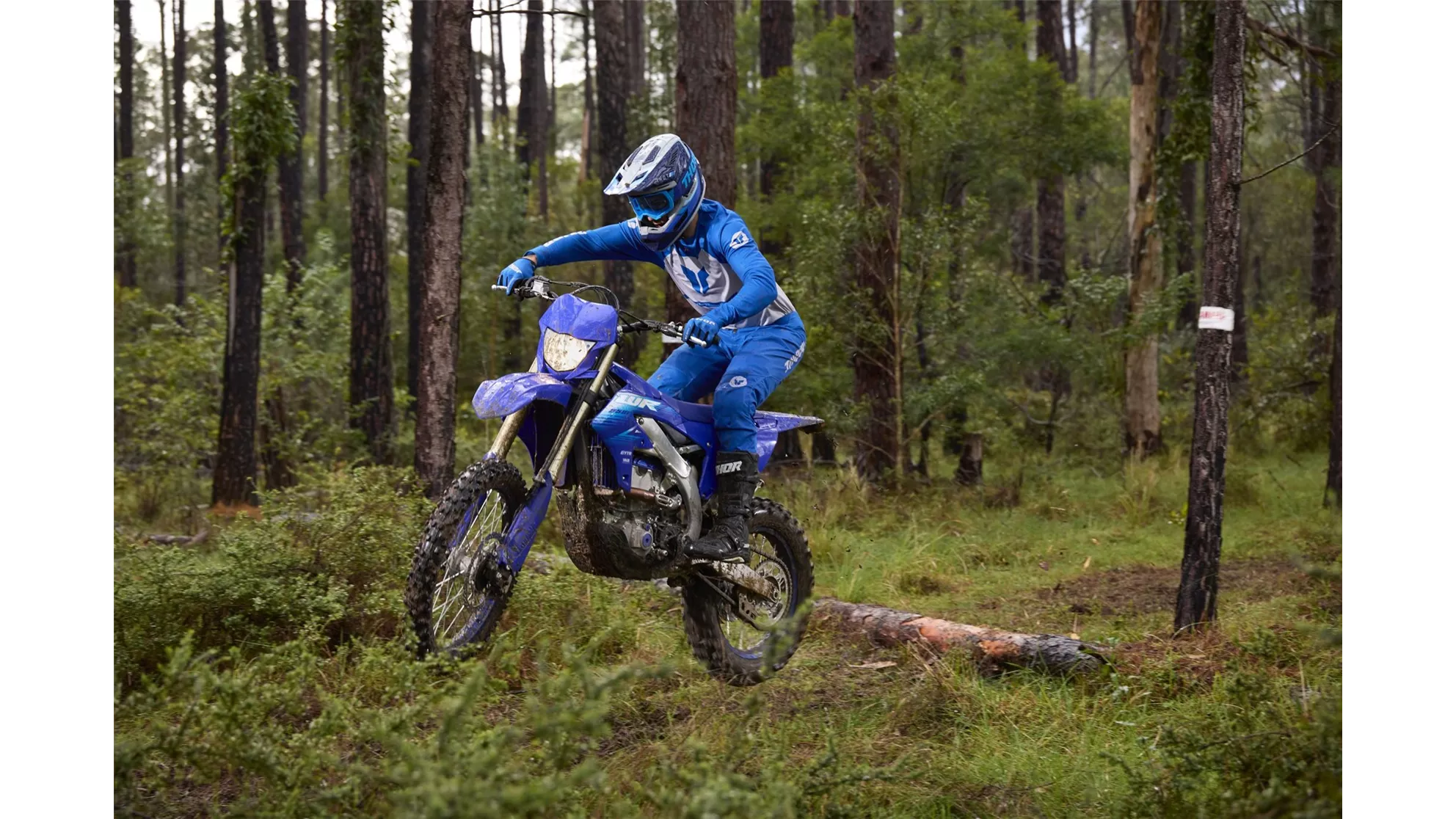 Yamaha WR250F - Kép 3 Yamaha WR250F - Kép 3