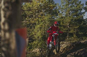Ducati Desmo450 EDS 2027 - Bild 3
