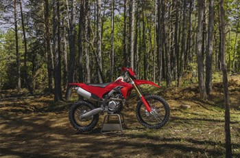 Ducati Desmo450 EDS 2027 - Bild 16