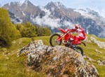 Beta RR X-PRO 2T 250
