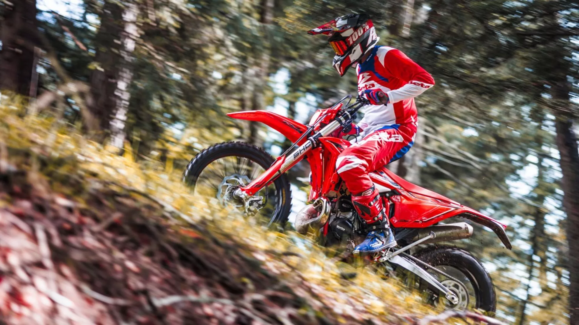Beta RR X-PRO 2T 250 - Obrázek 6 Beta RR X-PRO 2T 250 - Obrázek 6