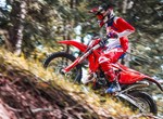 Beta RR X-PRO 2T 250