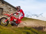 Beta RR X-PRO 2T 250