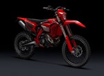 Beta RR X-PRO 2T 300