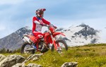 Beta RR X-PRO 4T 430 - Bild 2