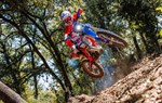 Beta RR Race 2T 125 - Bild 5