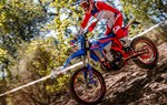 Beta RR Race 4T 350 - Bild 1
