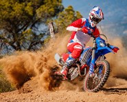 Beta RR Race 4T 480