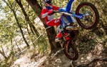 Beta RR Race 2T 300 - Bild 9