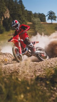 Beta RX 250 2T