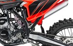 Beta RX 250 2T - Bild 15