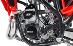 Beta RX 350 2T - Bild 15
