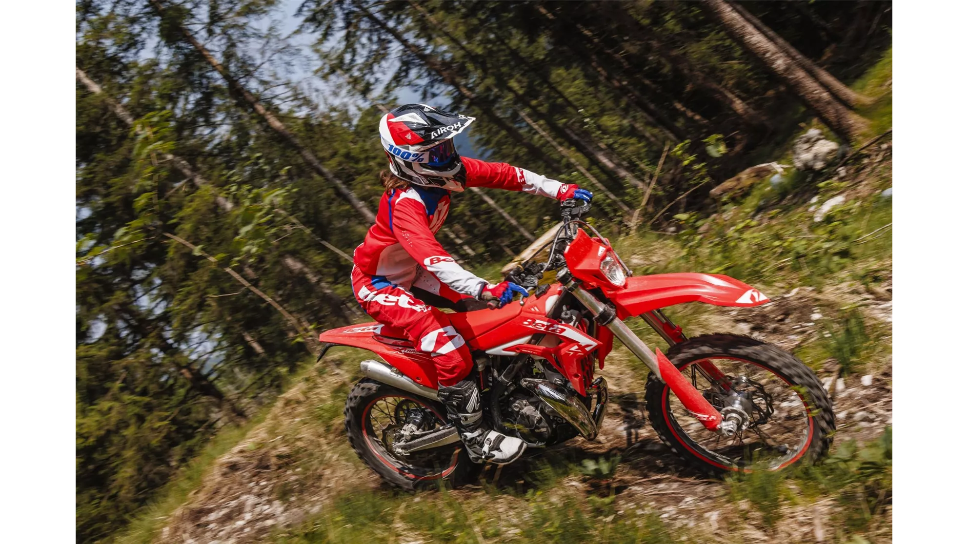Beta Xtrainer 200 - Imagem 6 Beta Xtrainer 200 - Imagem 6