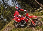 Beta Xtrainer 200