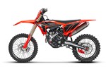 Beta RX 250 F - Bild 8