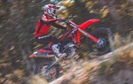 Beta RX 250 F - Bild 9