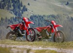 Beta Xtrainer 300