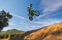 Kawasaki KX 112 2027 - Bild 3