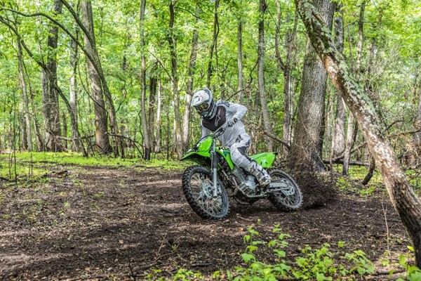 Kawasaki KLX230R S () - Bild 2