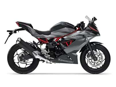 Kawasaki Ninja 125 2027 Kawasaki Ninja 125 2027