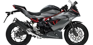 Kawasaki Ninja 125 2027 vs Yamaha MT-125 2022