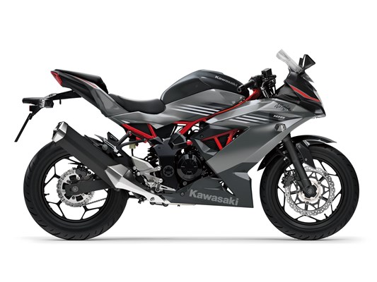 Kawasaki Ninja 125 