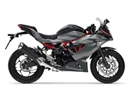 Kawasaki Ninja 125