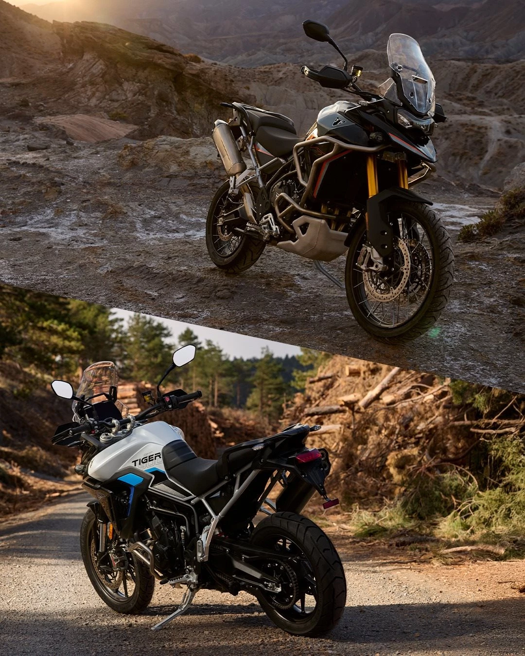 Vorschaubild für Post - Saisonende? Nicht mit uns: Wir stellen euch die neuen Tiger 900 Desert und Alpine Editions vor! 🔥
Diese zwei Sondereditionen könnt ihr ab sofort bei uns vorbestellen.

Stellt sich nur noch die Frage: 
Team Wüstenfreiheit oder Bergabenteuer?
#triumph #triumphmotorcycles #fortheride #tiger900