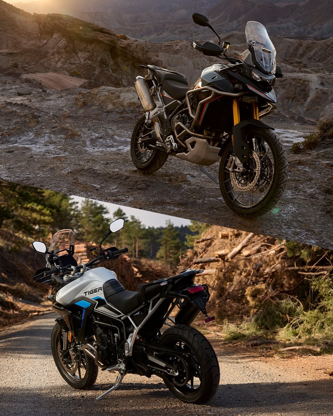 Vorschaubild für Post - Saisonende? Nicht mit uns: Wir stellen euch die neuen Tiger 900 Desert und Alpine Editions vor! 🔥
Diese zwei Sondereditionen könnt ihr ab sofort bei uns vorbestellen.

Stellt sich nur noch die Frage: 
Team Wüstenfreiheit oder Bergabenteuer?
#triumph #triumphmotorcycles #fortheride #tiger900