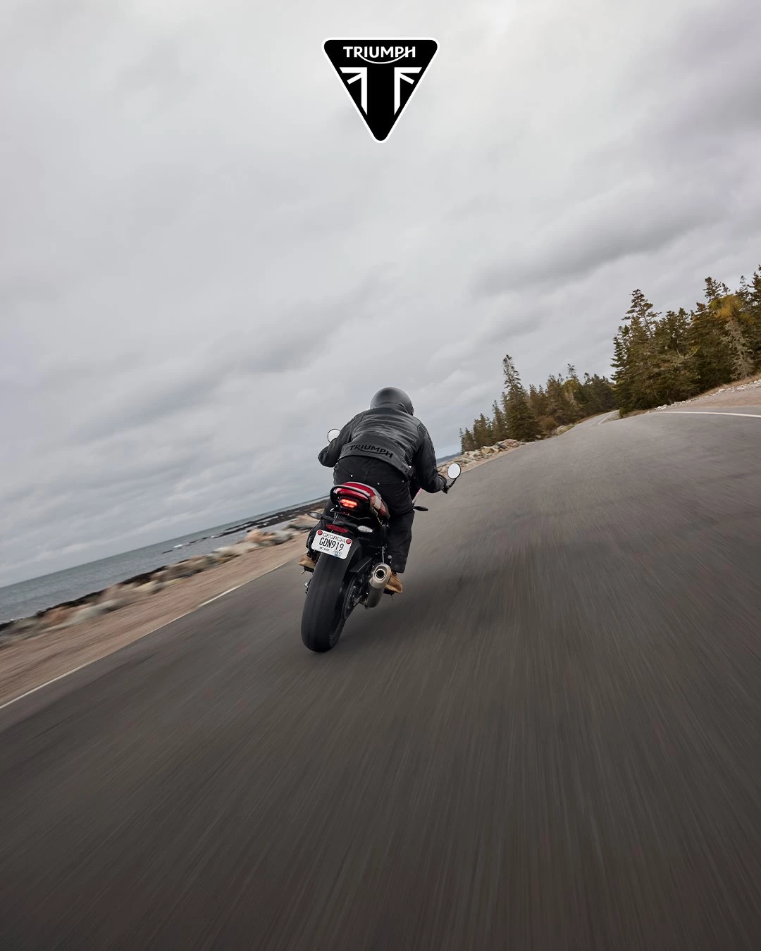 Vorschaubild für Post - Welche Tour steht auf deiner Liste ganz weit oben?

Schreibt es uns in die Kommentare 👇 Wir sind gespannt wo es euch hin treibt.

#triumphmotorcycle #bikerlife #triumphdeutschland #tourplan #wogehteshin