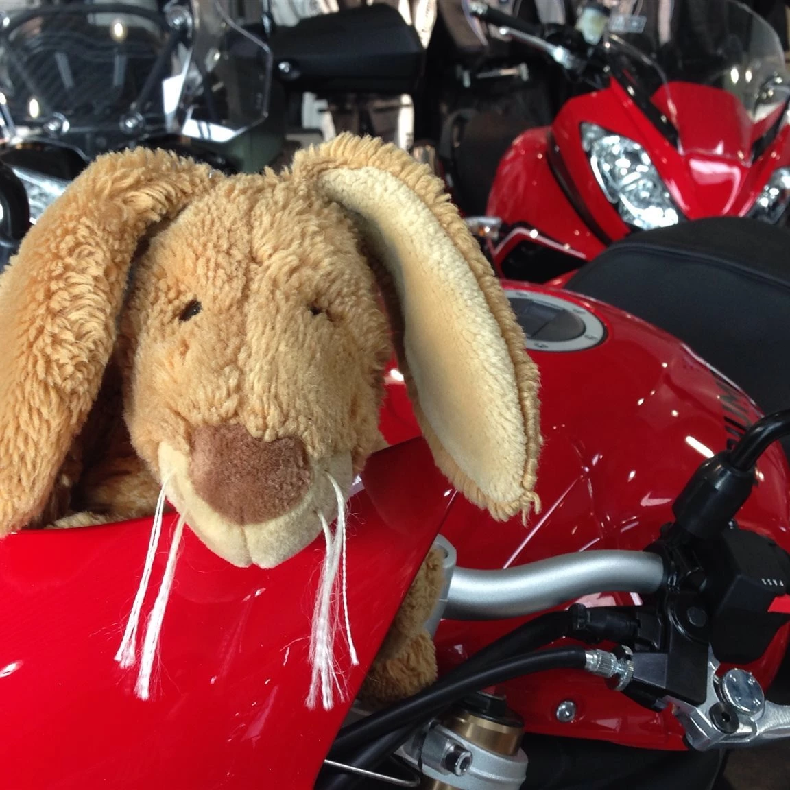 Vorschaubild für Post - Am Samstag, 04.04.2026 bleibt unser Geschäft geschlossen.
Ab Dienstag, 07.04.2026 sind wir wieder wie gewohnt für Euch da!
Wir wünschen allen Freunden, Kunden und Geschäftspartnern erholsame Feiertage - Stephan Baldauf und das ganze Triumph Bonn Team