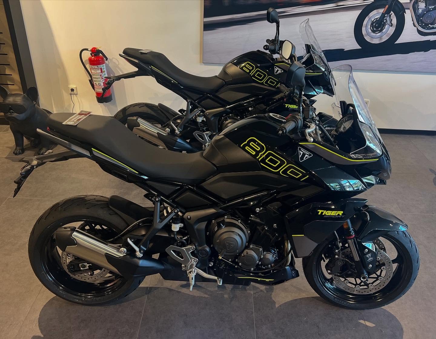 Vorschaubild für Post - 2 x frisch eingetroffen und zu verkaufen ! Triumph Tiger Sport 800 #triumphsaarbrücken #triumphsaarland #triumphtigersport800 #triumphmototcycles #saarbrücken #saarland