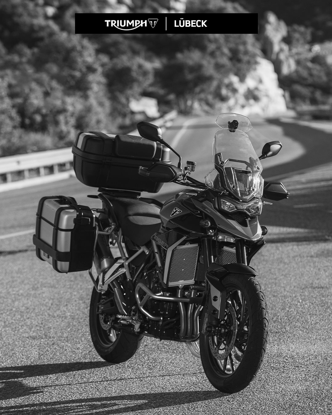 Vorschaubild für Post - Male dein Leben in deinen Farben - Freiheit ohne Grenzen mit der Triumph Tiger.
Probefahrt buchen unter: www.vikingcycles de oder direkt in der Taschenmacherstraße 1-5 in 23556 Lübeck...lohnt sich!
#vikingcycles #vikingcyclesluebeck #triumphmotorcycles #triumphbonneville #triumphtiger #triumphspeedtwin #triumphspeedtriple #triumphstreettriple #triumphstreettwin #triumphscrambler #triumphtrident #triumphdaytona #testride #probefahrt #lübeck #wochenende #motorrad #raufaufsbike #kurvekratzen #freiheit