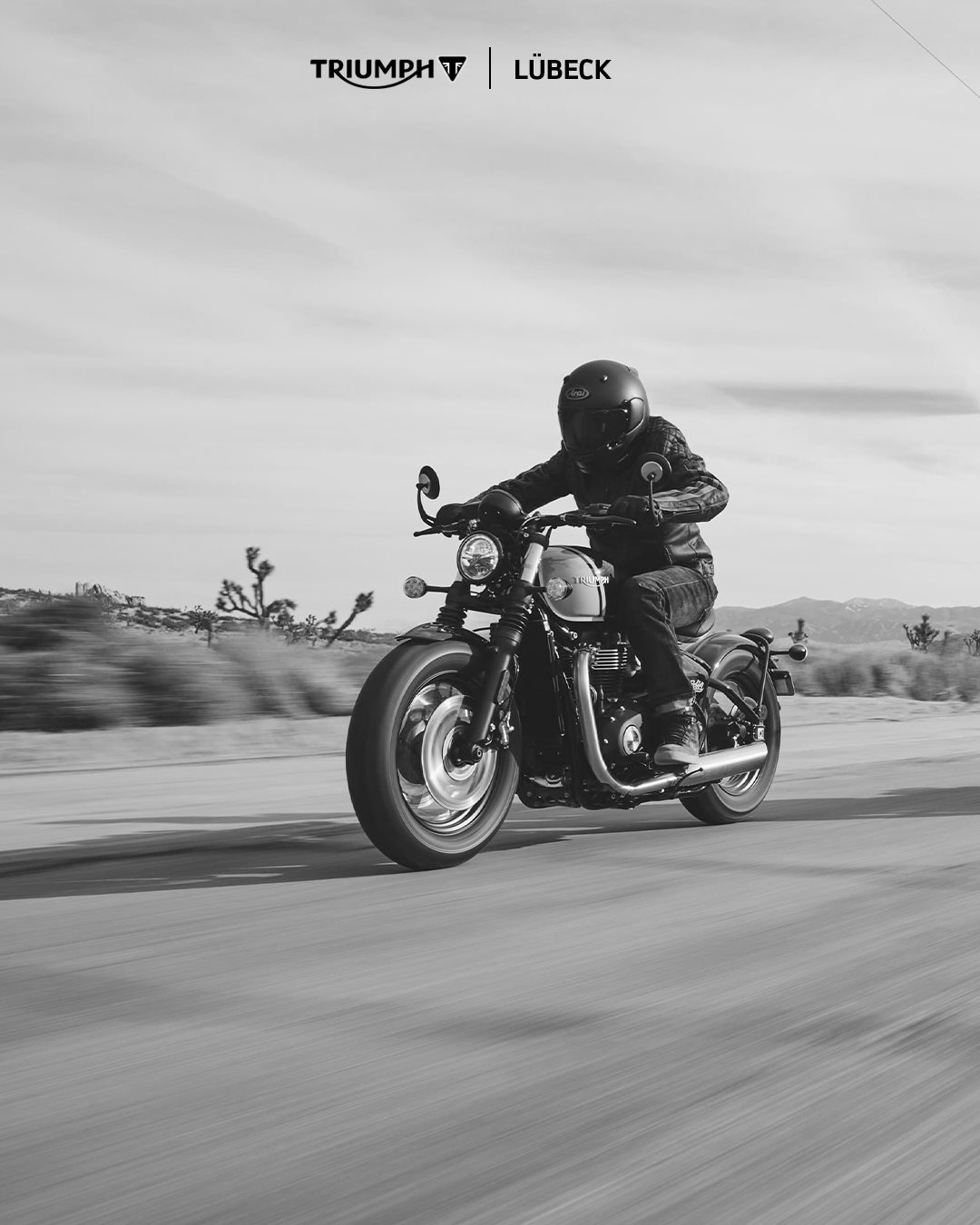 Vorschaubild für Post - Bonneville Bobber - ein echte Klassiker!

Probefahrt buchen unter: www.vikingcycles de oder direkt in der Taschenmacherstraße 1-5 in 23556 Lübeck...lohnt sich!

#vikingcycles #vikingcyclesluebeck #triumphmotorcycles #triumphbonneville #triumphtiger #triumphspeedtwin #triumphspeedtriple #triumphstreettriple #triumphstreettwin #triumphscrambler #triumphtrident #triumphdaytona #testride #probefahrt #lübeck #wochenende #motorrad #raufaufsbike #kurvekratzen #freiheit